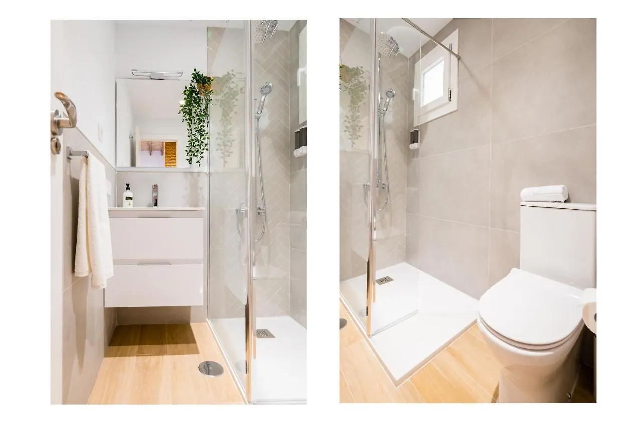 Apartment Diseno Triana 2 Rooms Seville